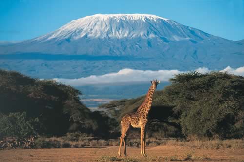 http://www.safariland-adventures.com/wp-content/uploads/2011/01/kilimanjaro_nat_park.jpg