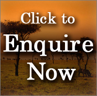 Enquire now about Tanzania Safari Holidays